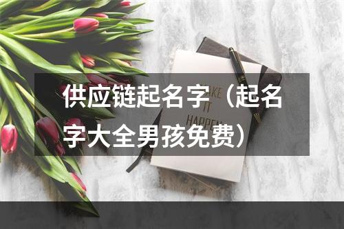 供应链起名字（起名字大全男孩免费）