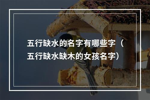 五行缺水的名字有哪些字（五行缺水缺木的女孩名字）