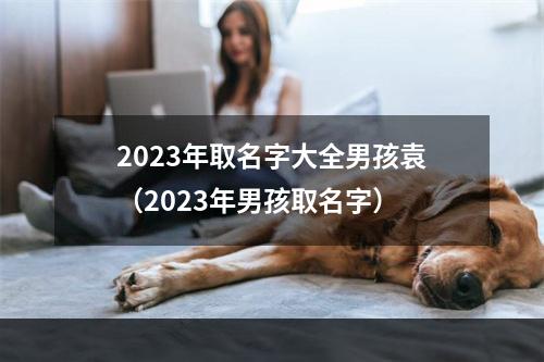 2023年取名字大全男孩袁（2023年男孩取名字）
