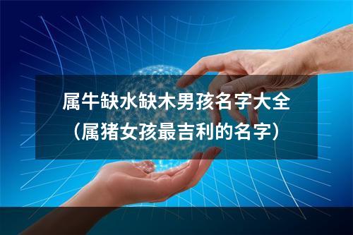 属牛缺水缺木男孩名字大全（属猪女孩最吉利的名字）