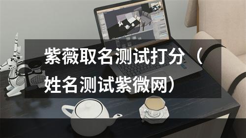 紫薇取名测试打分（姓名测试紫微网）