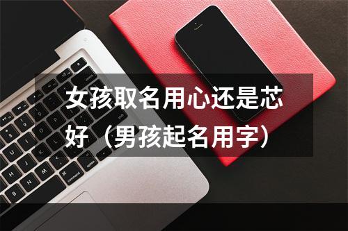 女孩取名用心还是芯好（男孩起名用字）