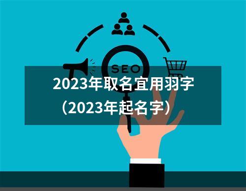2023年取名宜用羽字（2023年起名字）
