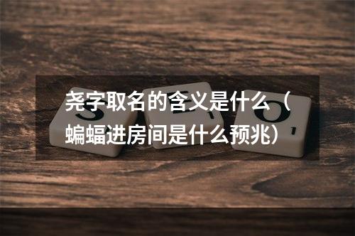 尧字取名的含义是什么（蝙蝠进房间是什么预兆）
