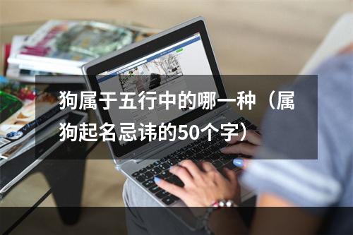 狗属于五行中的哪一种（属狗起名忌讳的50个字）