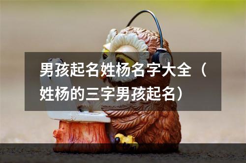 男孩起名姓杨名字大全（姓杨的三字男孩起名）
