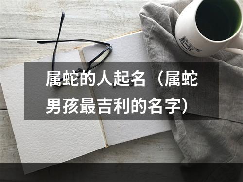 属蛇的人起名（属蛇男孩最吉利的名字）