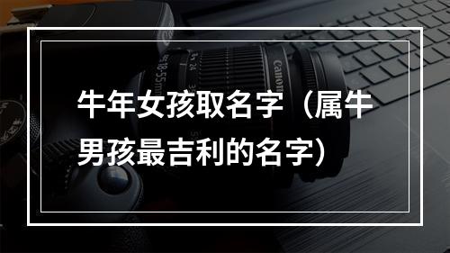 牛年女孩取名字（属牛男孩最吉利的名字）