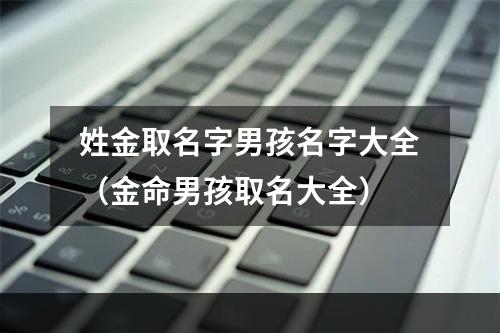 姓金取名字男孩名字大全（金命男孩取名大全）