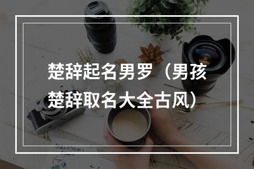 楚辞起名男罗（男孩楚辞取名大全古风）