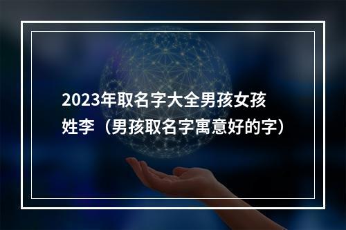 2023年取名字大全男孩女孩姓李（男孩取名字寓意好的字）