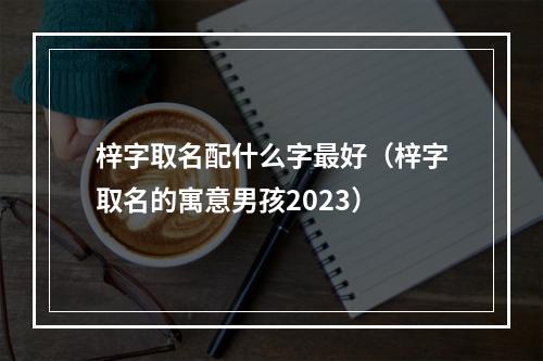 梓字取名配什么字最好（梓字取名的寓意男孩2023）