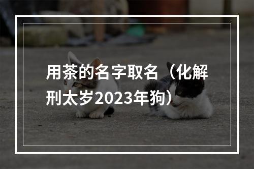 用茶的名字取名（化解刑太岁2023年狗）