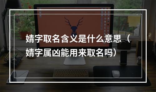 婧字取名含义是什么意思（婧字属凶能用来取名吗）