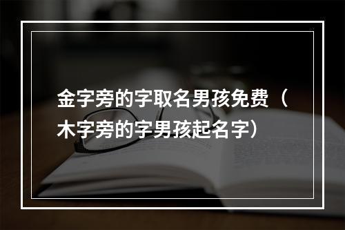 金字旁的字取名男孩免费（木字旁的字男孩起名字）