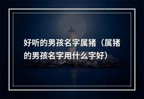 好听的男孩名字属猪（属猪的男孩名字用什么字好）