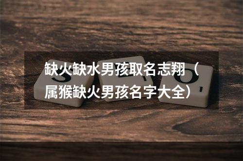 缺火缺水男孩取名志翔（属猴缺火男孩名字大全）