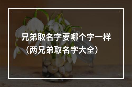 兄弟取名字要哪个字一样（两兄弟取名字大全）