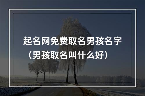 起名网免费取名男孩名字（男孩取名叫什么好）
