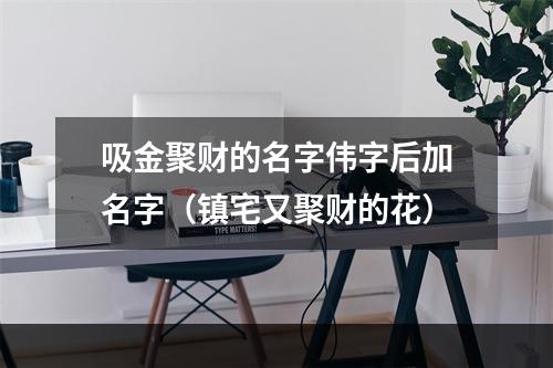 吸金聚财的名字伟字后加名字（镇宅又聚财的花）