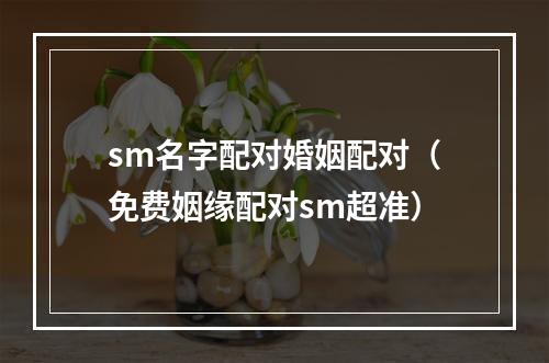 sm名字配对婚姻配对（免费姻缘配对sm超准）