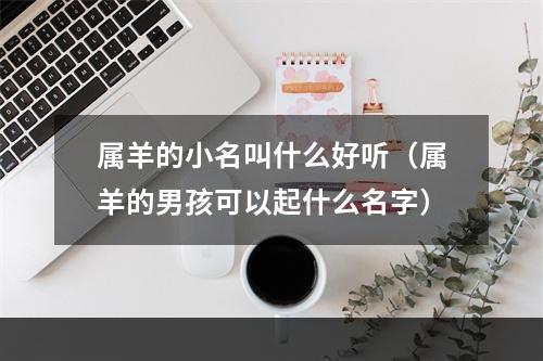 属羊的小名叫什么好听（属羊的男孩可以起什么名字）
