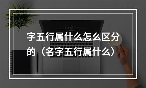 字五行属什么怎么区分的（名字五行属什么）