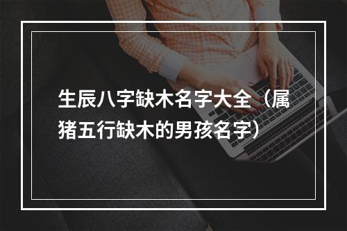 生辰八字缺木名字大全（属猪五行缺木的男孩名字）