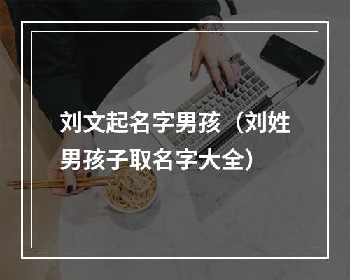刘文起名字男孩（刘姓男孩子取名字大全）