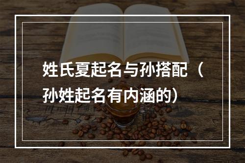 姓氏夏起名与孙搭配（孙姓起名有内涵的）