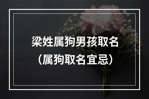 梁姓属狗男孩取名（属狗取名宜忌）