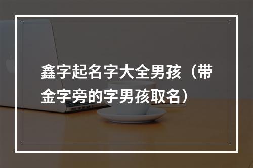 鑫字起名字大全男孩（带金字旁的字男孩取名）
