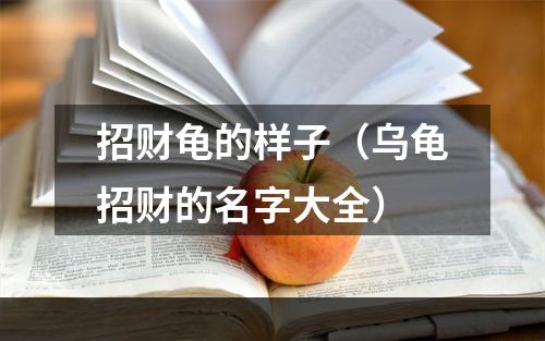 招财龟的样子（乌龟招财的名字大全）