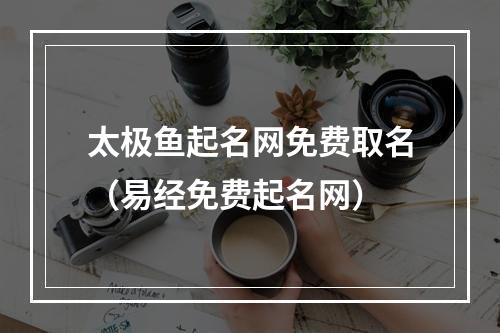 太极鱼起名网免费取名（易经免费起名网）