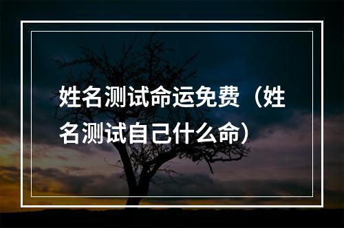 姓名测试命运免费（姓名测试自己什么命）