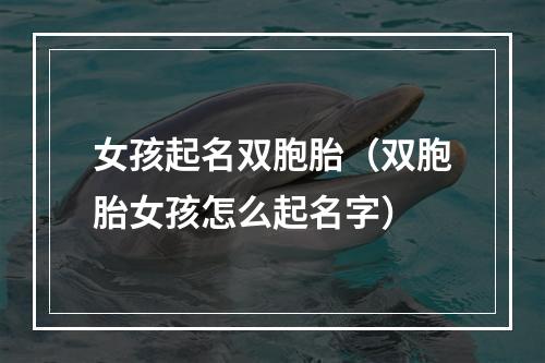 女孩起名双胞胎（双胞胎女孩怎么起名字）