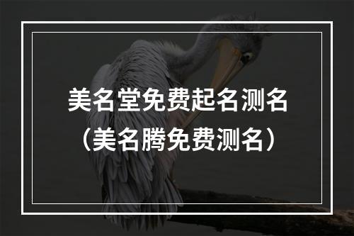 美名堂免费起名测名（美名腾免费测名）