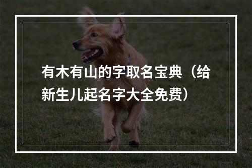 有木有山的字取名宝典（给新生儿起名字大全免费）