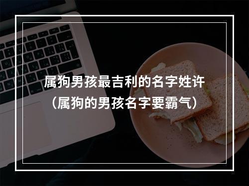 属狗男孩最吉利的名字姓许（属狗的男孩名字要霸气）