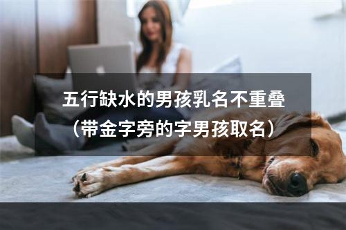 五行缺水的男孩乳名不重叠（带金字旁的字男孩取名）