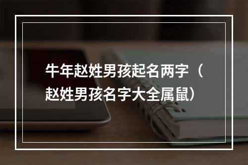 牛年赵姓男孩起名两字（赵姓男孩名字大全属鼠）
