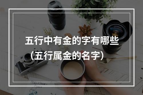 五行中有金的字有哪些（五行属金的名字）