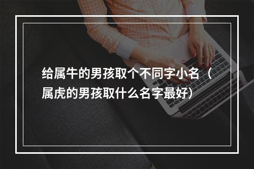 给属牛的男孩取个不同字小名（属虎的男孩取什么名字最好）