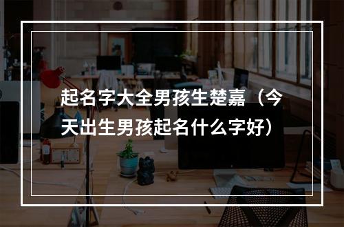 起名字大全男孩生楚嘉（今天出生男孩起名什么字好）