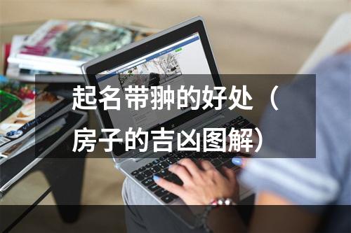 起名带翀的好处（房子的吉凶图解）