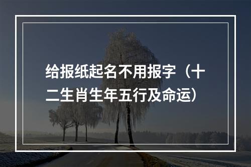 给报纸起名不用报字（十二生肖生年五行及命运）