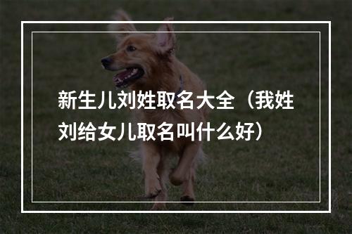 新生儿刘姓取名大全（我姓刘给女儿取名叫什么好）