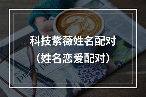 科技紫薇姓名配对（姓名恋爱配对）
