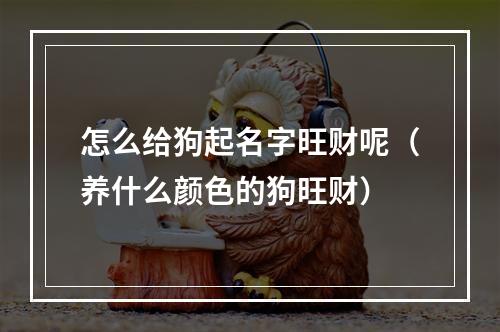 怎么给狗起名字旺财呢（养什么颜色的狗旺财）