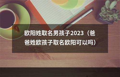 欧阳姓取名男孩子2023（爸爸姓欧孩子取名欧阳可以吗）